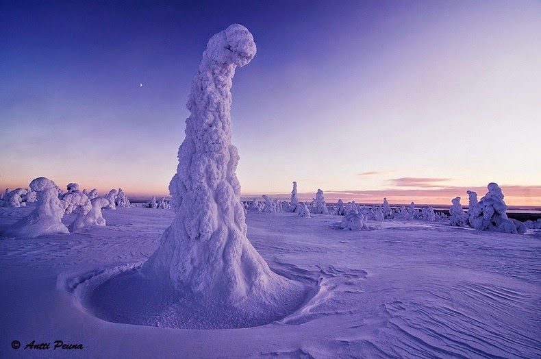 Mùa đông ở công viên Riisitunturi National, Phần Lan. Riisitunturi-tykky-5%25255B6%25255D