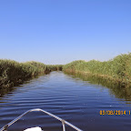 IMG_5656.JPG