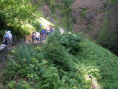 Crowd Heading Up