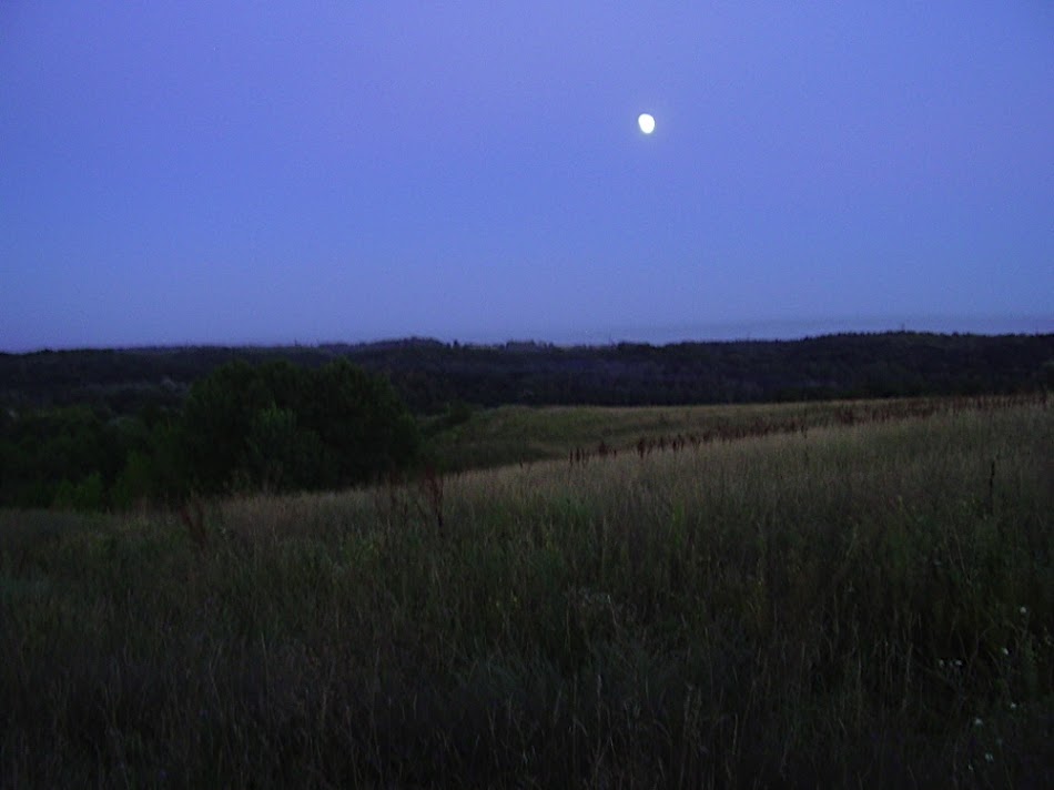 P8220181.JPG