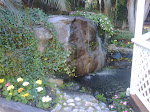 IMG00640-20100129-1626.jpg