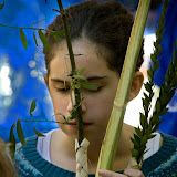 2008 October Sukkot Celebration