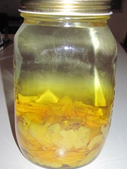IMG_0762 IMG_0762