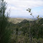 P1010589.JPG