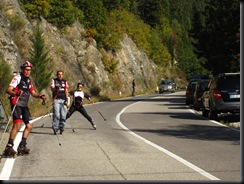 IMG_1239 IMG_1239