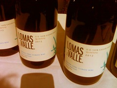 IMG00325