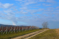 P1090753.JPG