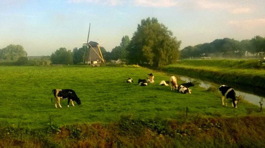 [WP_20140927_014%2520%25281300x729%2529%255B3%255D.jpg]