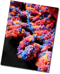 Citrus Zing Cowl - Crochet Edge Detail