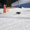 wild08No2.jpg