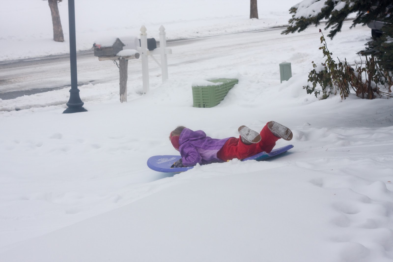 [12-27-12_soph-sled3.jpg]