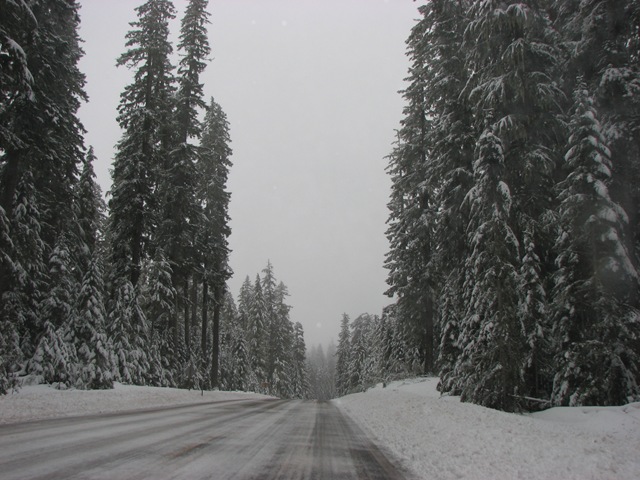 [IMG_22624.jpg]