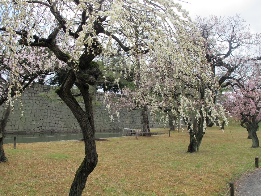 [2012Day-2_Pic286.jpg]