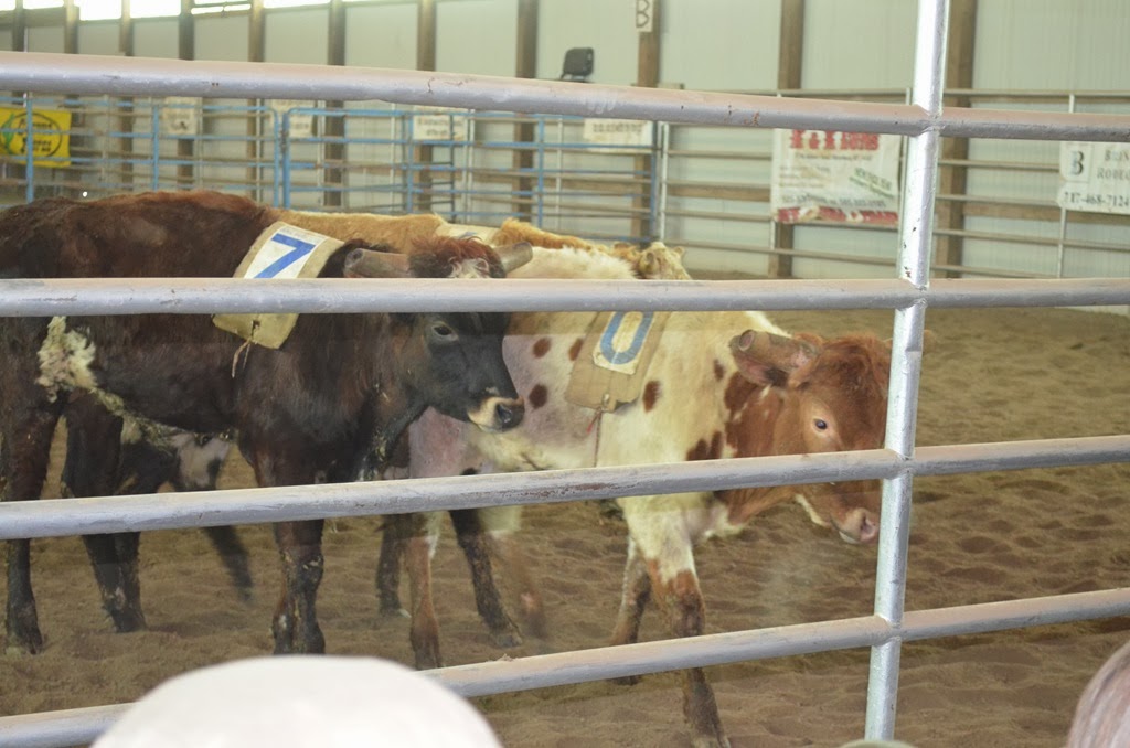 [DSC_6641%255B3%255D.jpg]