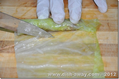 Stuffed Cabbage Rolls Recipe by www.dish-away.com