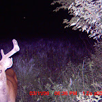 MDGC0011.JPG