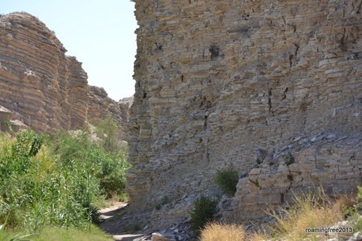 Limestone Canyon