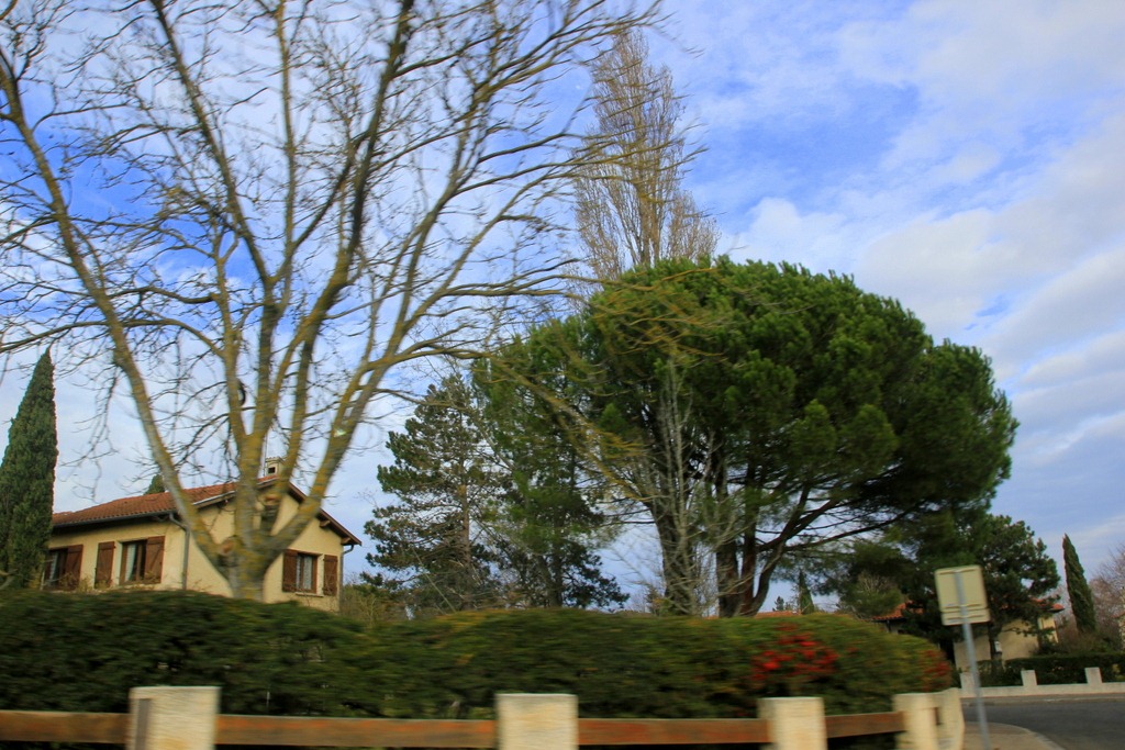 [IMG_5112%255B3%255D.jpg]