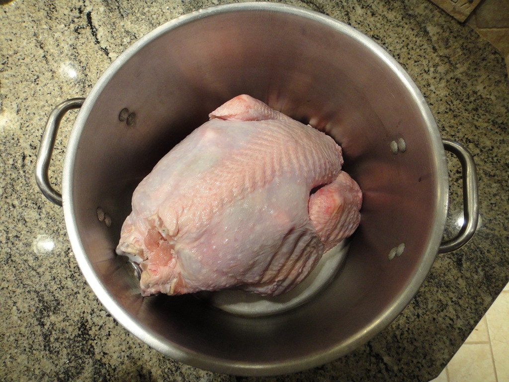 [DSC00209%255B8%255D.jpg]
