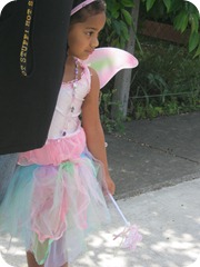 princess and pirate party 018