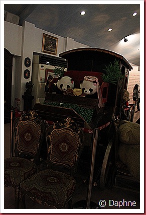 IMG_1777 IMG_1777