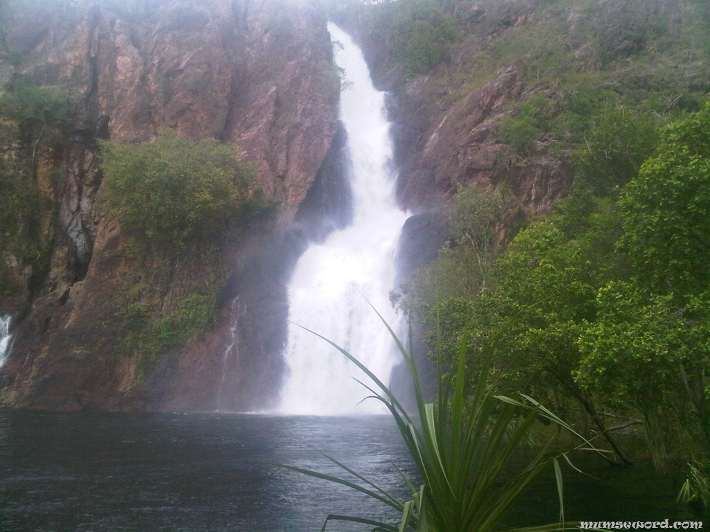 [IMG00219-20120328-15025.jpg]