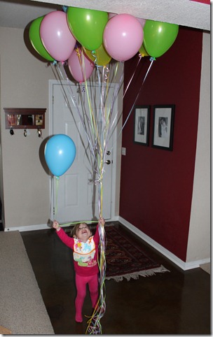 IMG_0037 IMG_0037