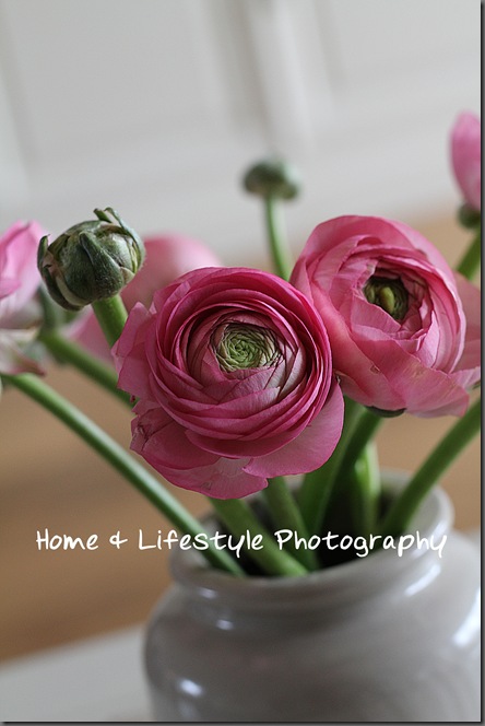 Home & Lifestyle Home & Lifestyle