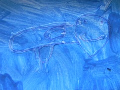 DSCN2419