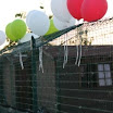 2 giugno porte aperte (1).JPG