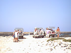 People on a safari