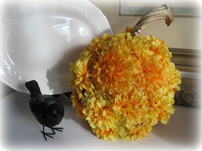 [flower%2520pumkin%25206%255B2%255D.jpg]