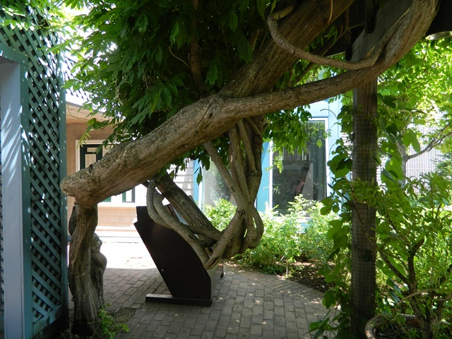 [coast%25202011%2520001%255B3%255D.jpg]