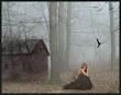Black Dove