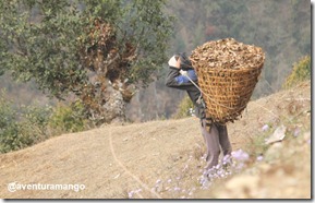 Nepalês Nepalês