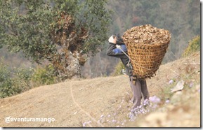 Nepalês