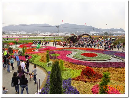 1119 137 - 台中新社花海 1119 137 - 台中新社花海