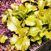 20070512006-Edit.jpg