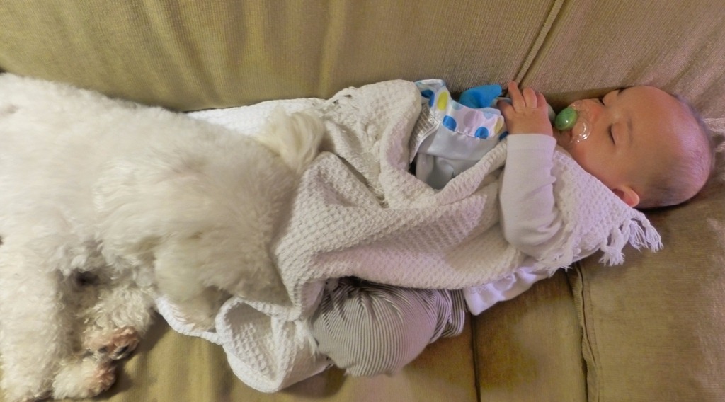 [5-months-0334.jpg]