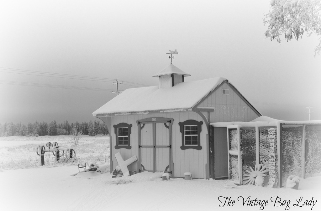 [Christmas-Day-0039.jpg]