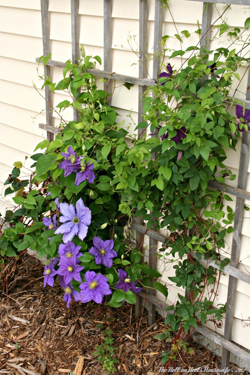 [porch%2520007%255B4%255D.jpg]