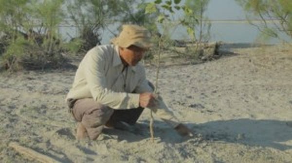 8- O homem que plantou uma floresta sozinho 8- O homem que plantou uma floresta sozinho
