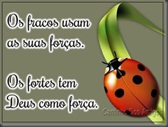 forca-004 forca-004