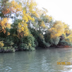 IMG_5751.JPG