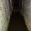 PzW.646 dsc04633.jpg