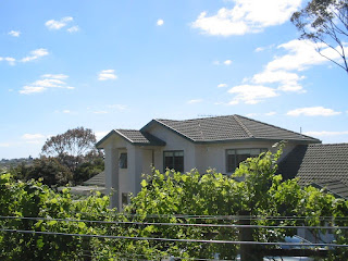 Another view of textured Albany home