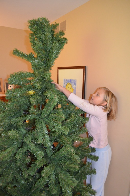 [DSC_0009%255B6%255D.jpg]