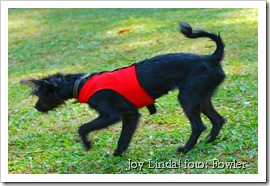 Joy Linda!