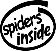 spiders spiders