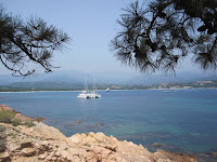 IMG_4323.JPG Photo